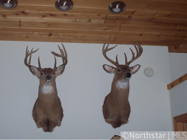 0 Christopherson Rd, Melrose, WI 54642