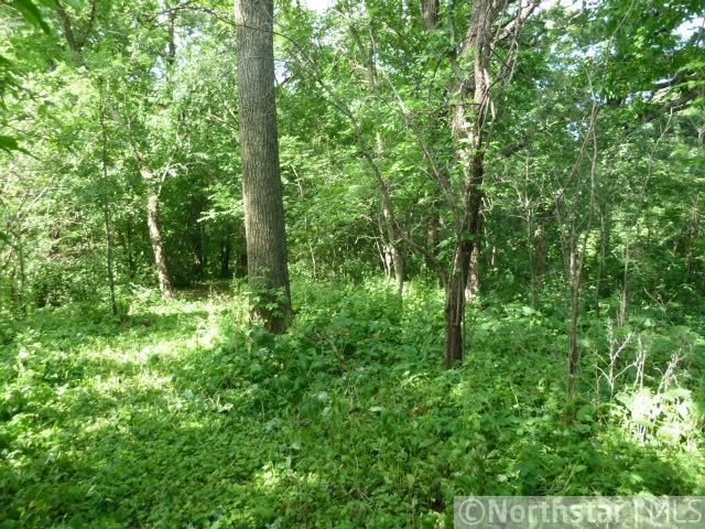 2411 Maple Ave S, Bloomington, MN 55431