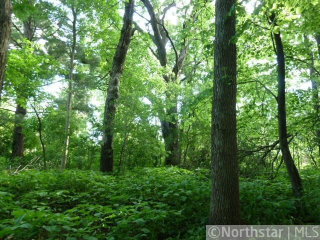 2411 Maple Ave S, Bloomington, MN 55431