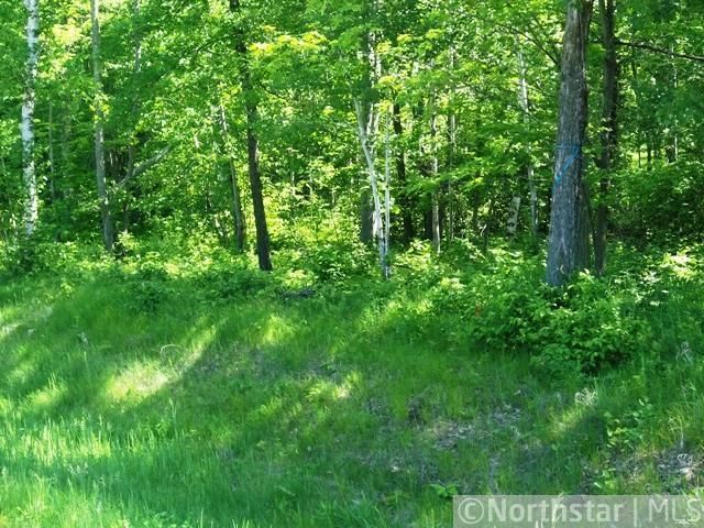 L13 B1 Birch Bark Grove Ct NW, Hackensack, MN 56452