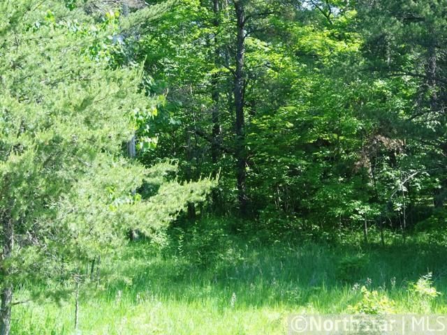 L13 B1 Birch Bark Grove Ct NW, Hackensack, MN 56452