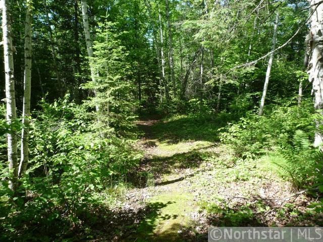 6924 W Hemlock Haven Rd, Winter, WI 54896