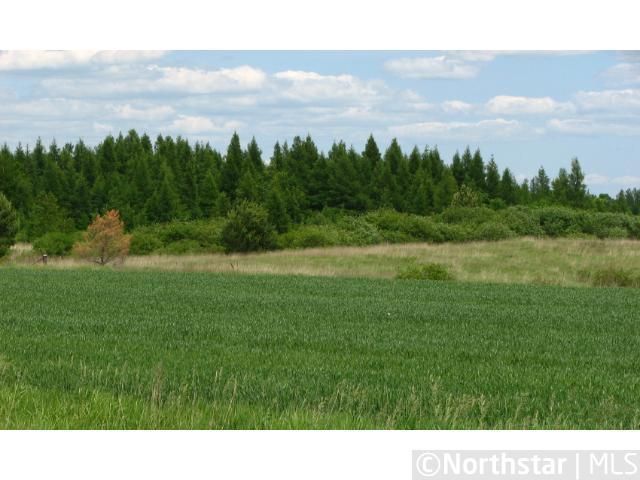 0 Unassigned Address, Bowlus, MN 56314