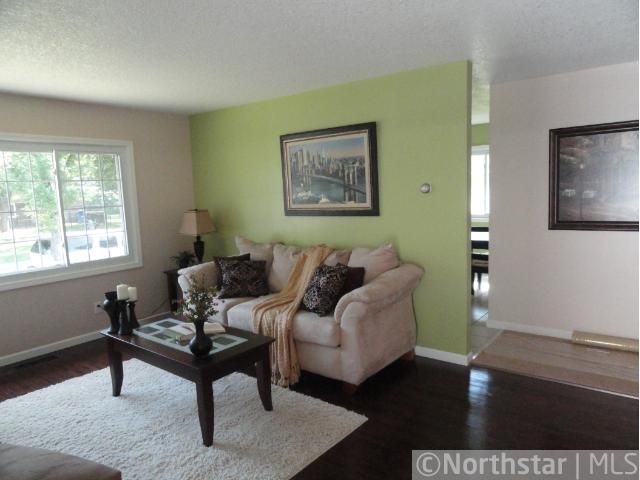 262 Congress St E, Saint Paul, MN 55107