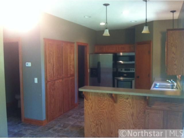 1009 Christof Ct, Montrose, MN 55363