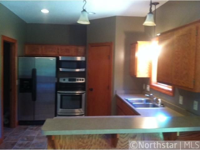 1009 Christof Ct, Montrose, MN 55363