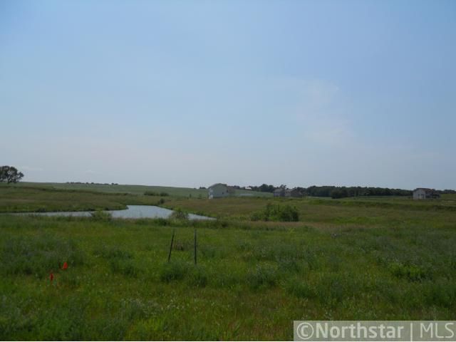 431 Fox Meadow Ct, Delano, MN 55328