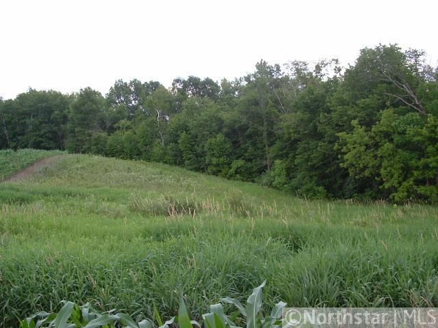 XXX Spring Lake Rd NE, North Branch, MN 55056