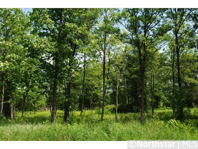 Lot 1 Blk 1 Eagle Drive Nw, Walker, MN 56484