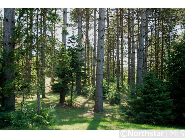 2367 176th Ln NW, Andover, MN 55304