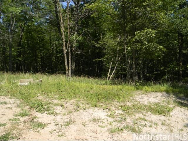 36554 500th Ln, Palisade, MN 56469