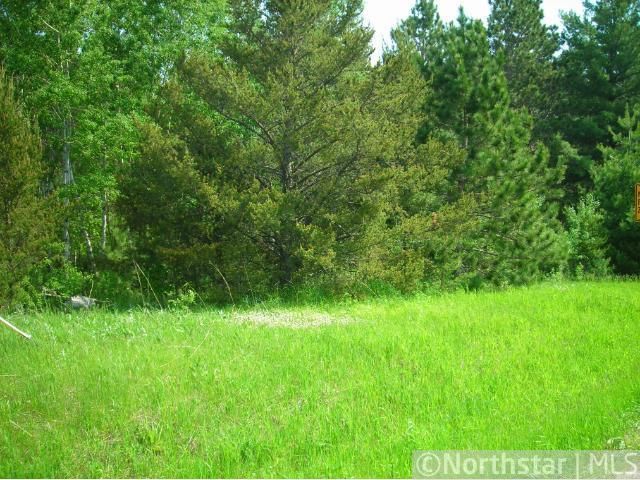 TBD-Lot 9 County Road 107, Park Rapids, MN 56470