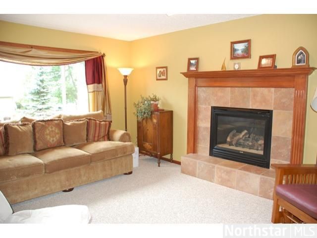 9201 Chapman Ct, Inver Grove Heights, MN 55076
