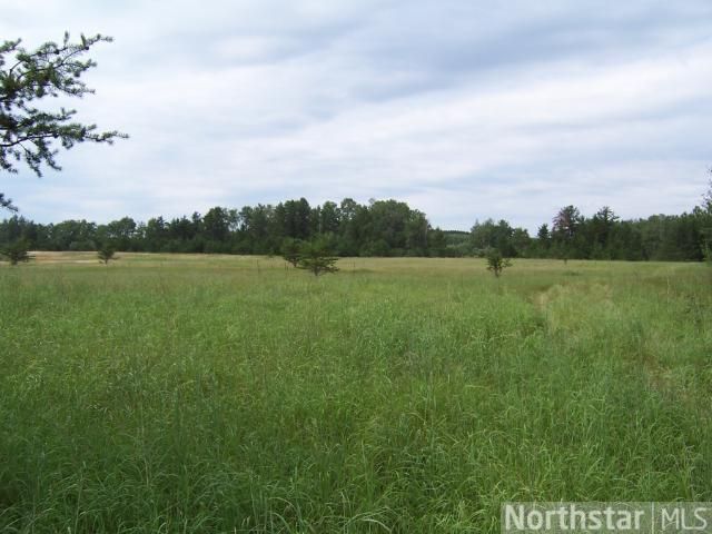 TBD 16th St, Backus, MN 56435