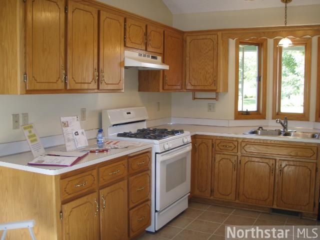 14453 Xeon St NW, Andover, MN 55304