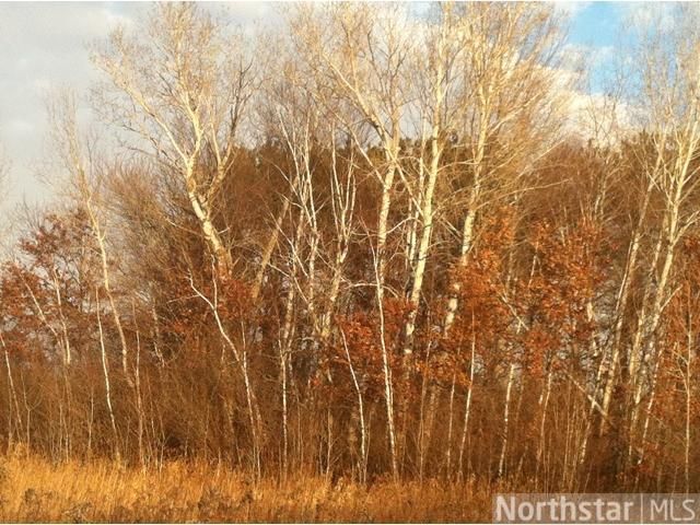 xxx Lyons St, Wyoming, MN 55025