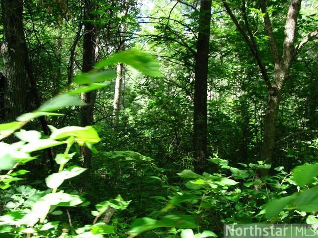Tract B 20th St, Fort Ripley, MN 56449