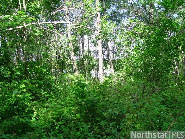 Tract B 20th St, Fort Ripley, MN 56449