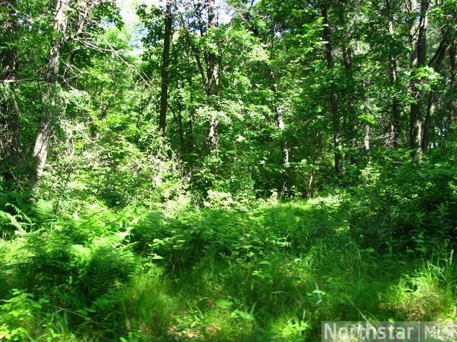 Tract B 20th St, Fort Ripley, MN 56449