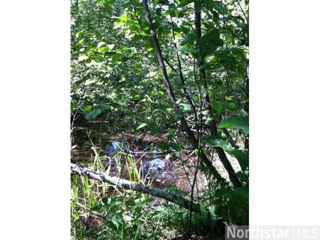 9156 N Tripp Rd, Springbrook, WI 54875