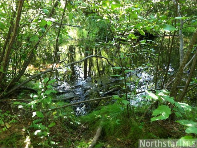9156 N Tripp Rd, Springbrook, WI 54875