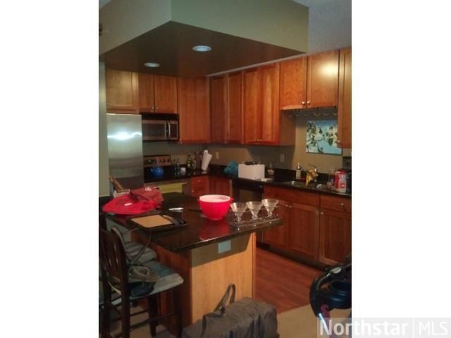 401 1st St S #105, Minneapolis, MN 55401
