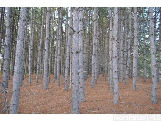 0000 County Rd 12, Akeley, MN 56433