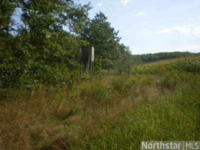 TBD Azure Rd, Cushing, MN 56443