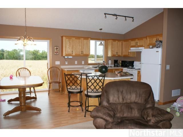 107 Summit Ave, Dassel, MN 55325