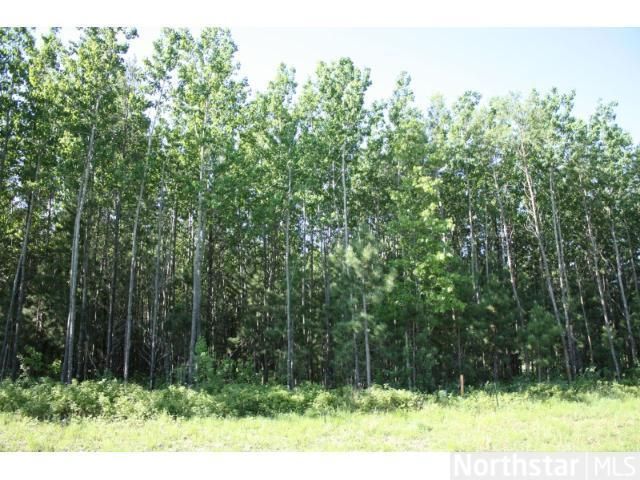 Lot 4 Blk 3 Norway Spruce Dr, Brainerd, MN 56425