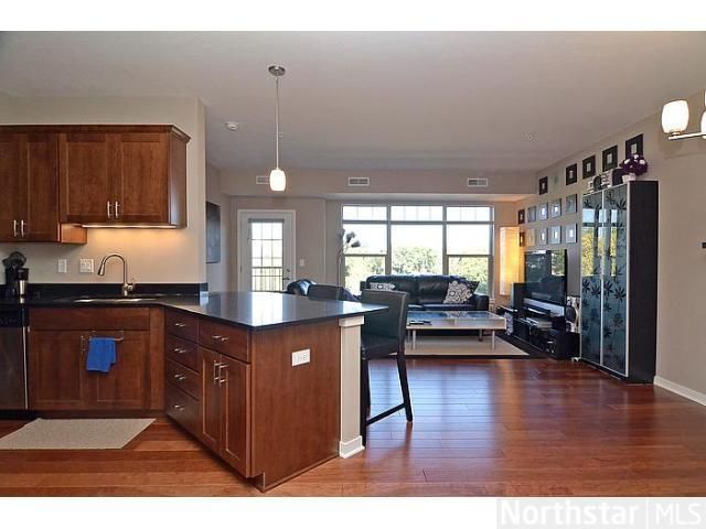 462 Ford Rd #204, Saint Louis Park, MN 55426