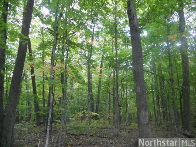 TBD Santa Fe Trl, Garrison, MN 56450