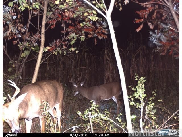 N7428 County Rd W, River Falls, WI 54022