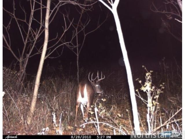 N7428 County Rd W, River Falls, WI 54022