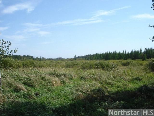 XXX 200th St, Randall, MN 56475