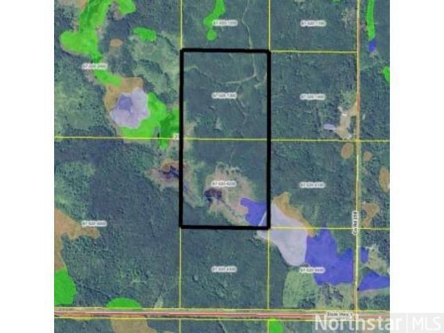 TBD County Road 259, Effie, MN 56639