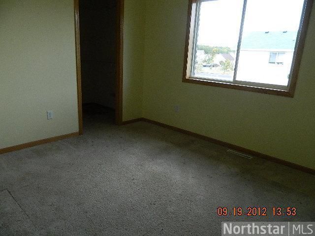 17622 305th Ln, Shafer, MN 55074