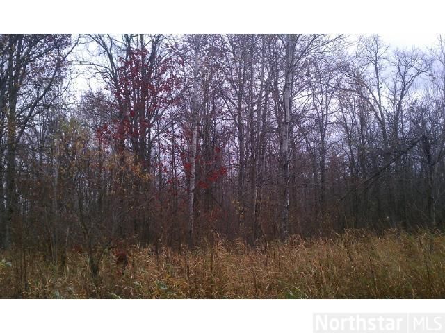 XXX 330th Ave, Hillman, MN 56338