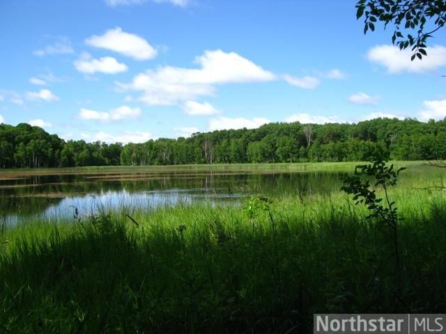 Tract C 20th St, Fort Ripley, MN 56449
