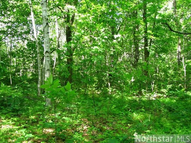 Tract C 20th St, Fort Ripley, MN 56449