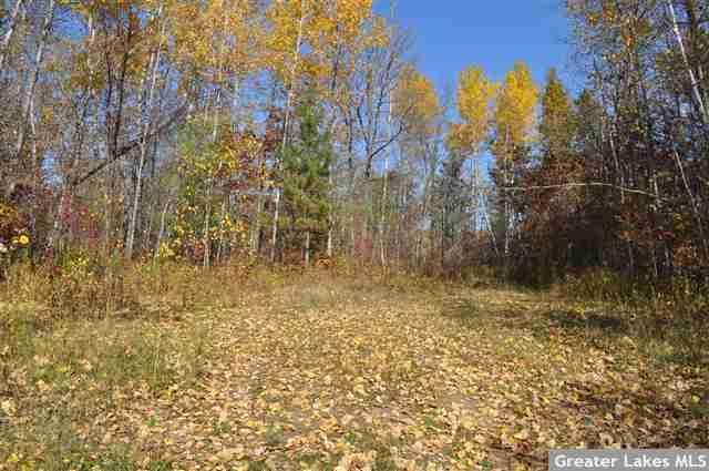000 Foxfire Dr, Akeley, MN 56433
