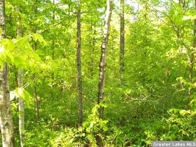 000 NW North Stony Ln, Hackensack, MN 56452