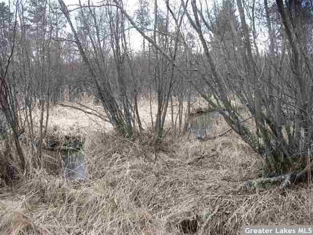 TBD County Road 93, Laporte, MN 56461