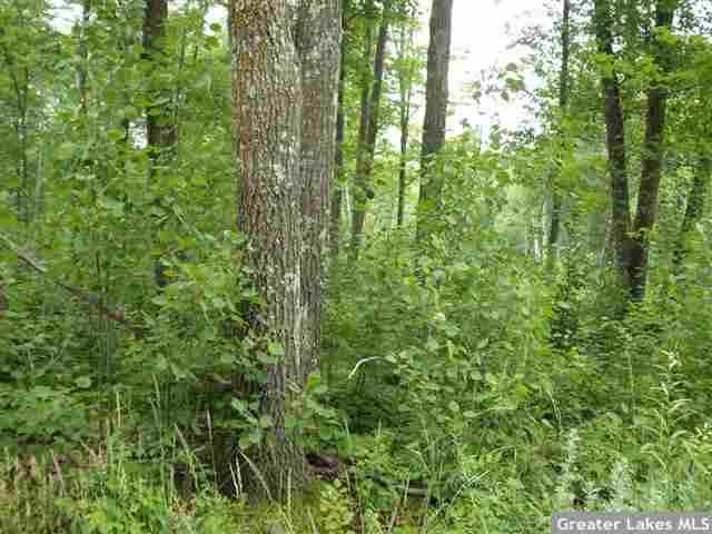 xxx Old Mill Dr, Osage, MN 56570