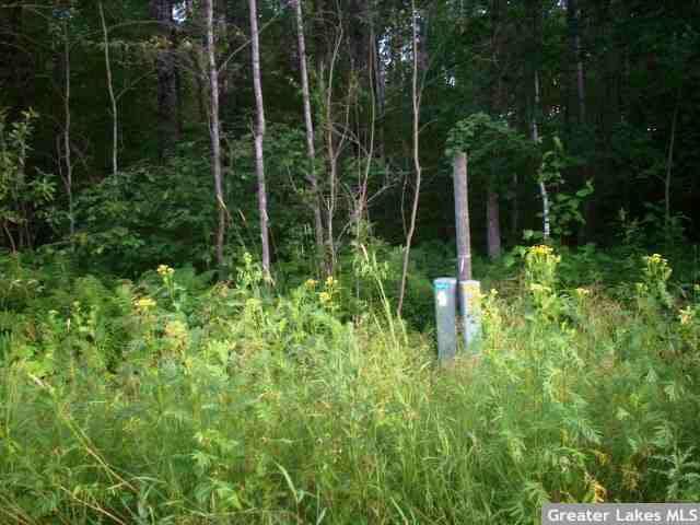 xxx Green Tree Ln, Akeley, MN 56433