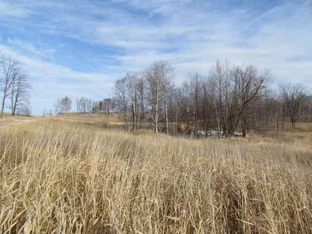 000 SW 44th St, Pine River, MN 56474