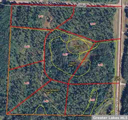 L7B1 Big Pine Cir SW, Pillager, MN 56473
