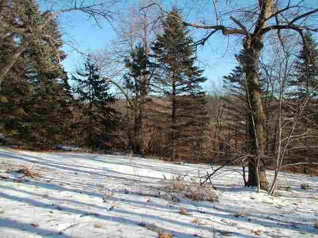 xxx Seclusion Point Rd, Dent, MN 56528