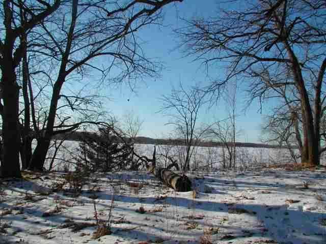 xxx Seclusion Point Rd, Dent, MN 56528