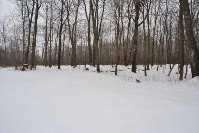 24569 Warren Dr, Deerwood, MN 56444